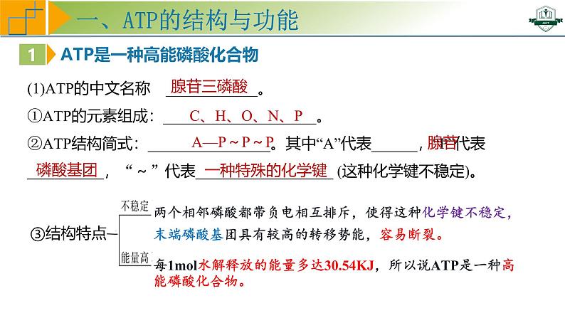 专题3.2 细胞的能量“货币”ATP(课件)-2025年高考生物一轮复习考点归类(新高考通用)第5页