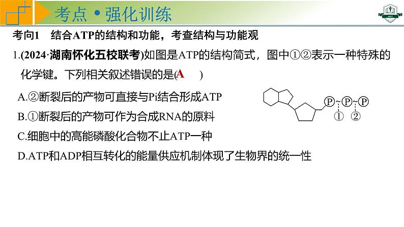 专题3.2 细胞的能量“货币”ATP(课件)-2025年高考生物一轮复习考点归类(新高考通用)第8页