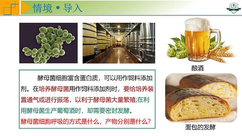 专题3.3 细胞呼吸的原理与过程(课件)-2025年高考生物一轮复习考点归类(新高考通用)第3页
