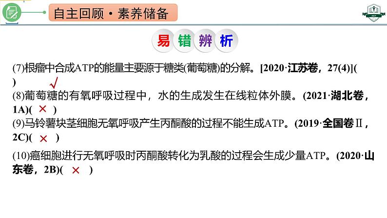 专题3.3 细胞呼吸的原理与过程(课件)-2025年高考生物一轮复习考点归类(新高考通用)第5页