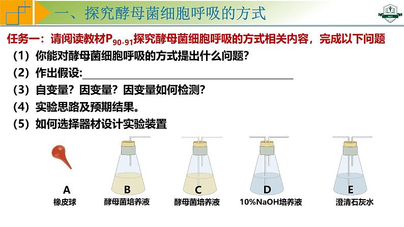专题3.3 细胞呼吸的原理与过程(课件)-2025年高考生物一轮复习考点归类(新高考通用)第7页