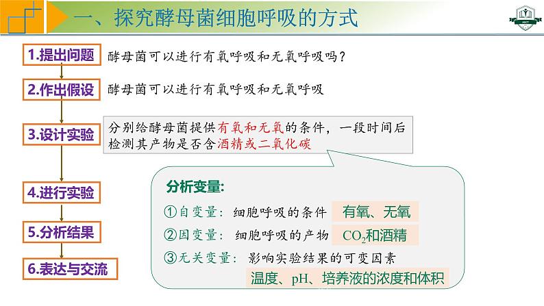 专题3.3 细胞呼吸的原理与过程(课件)-2025年高考生物一轮复习考点归类(新高考通用)第8页