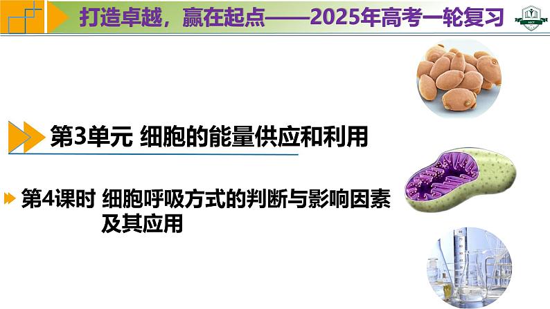 专题3.4 细胞呼吸方式的判断与影响因素及其应用(课件)-2025年高考生物一轮复习考点归类(新高考通用)第1页