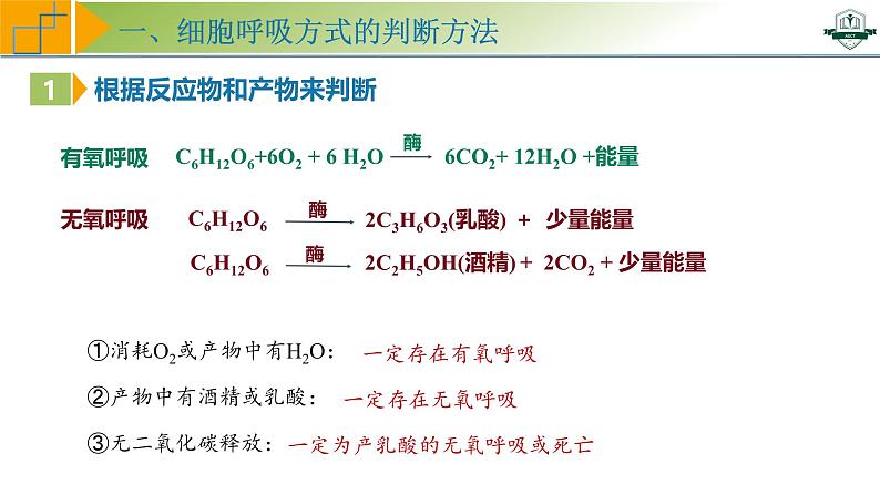 专题3.4 细胞呼吸方式的判断与影响因素及其应用(课件)-2025年高考生物一轮复习考点归类(新高考通用)第4页