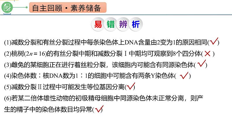 专题4.4 减数分裂与有丝分裂的比较及观察蝗虫精母细胞减数分裂装片(课件)-2025年高考生物一轮复习考点归类(新高考通用)第2页