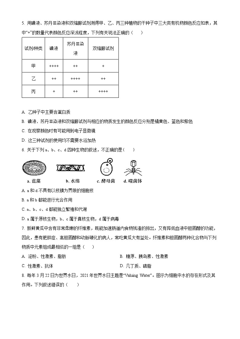 安徽省舒城中学2024-2025学年高一上学期入学检测生物试卷(Word版附解析)02