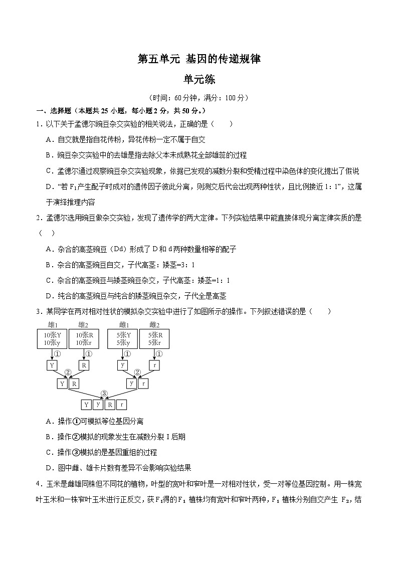 单元检测卷05 基因的传递规律(原卷版)第1页