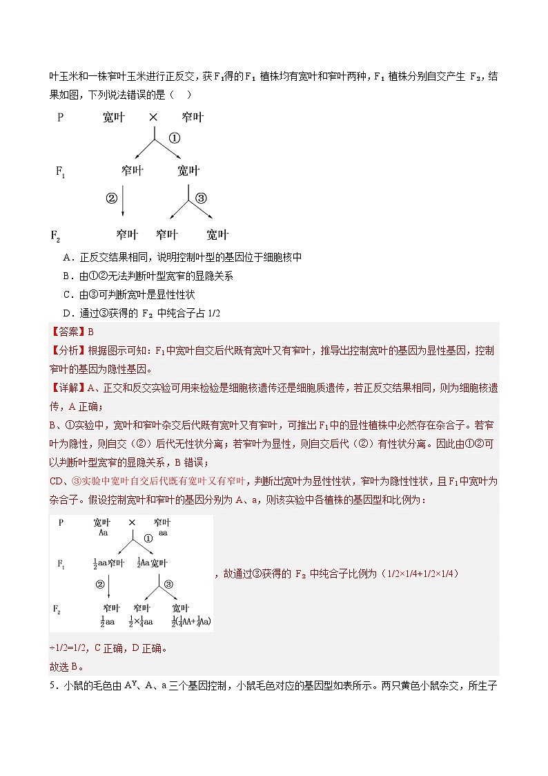 单元检测卷05 基因的传递规律(解析版)第3页