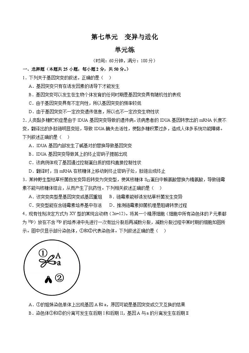 单元检测卷07 变异与进化(原卷版)第1页