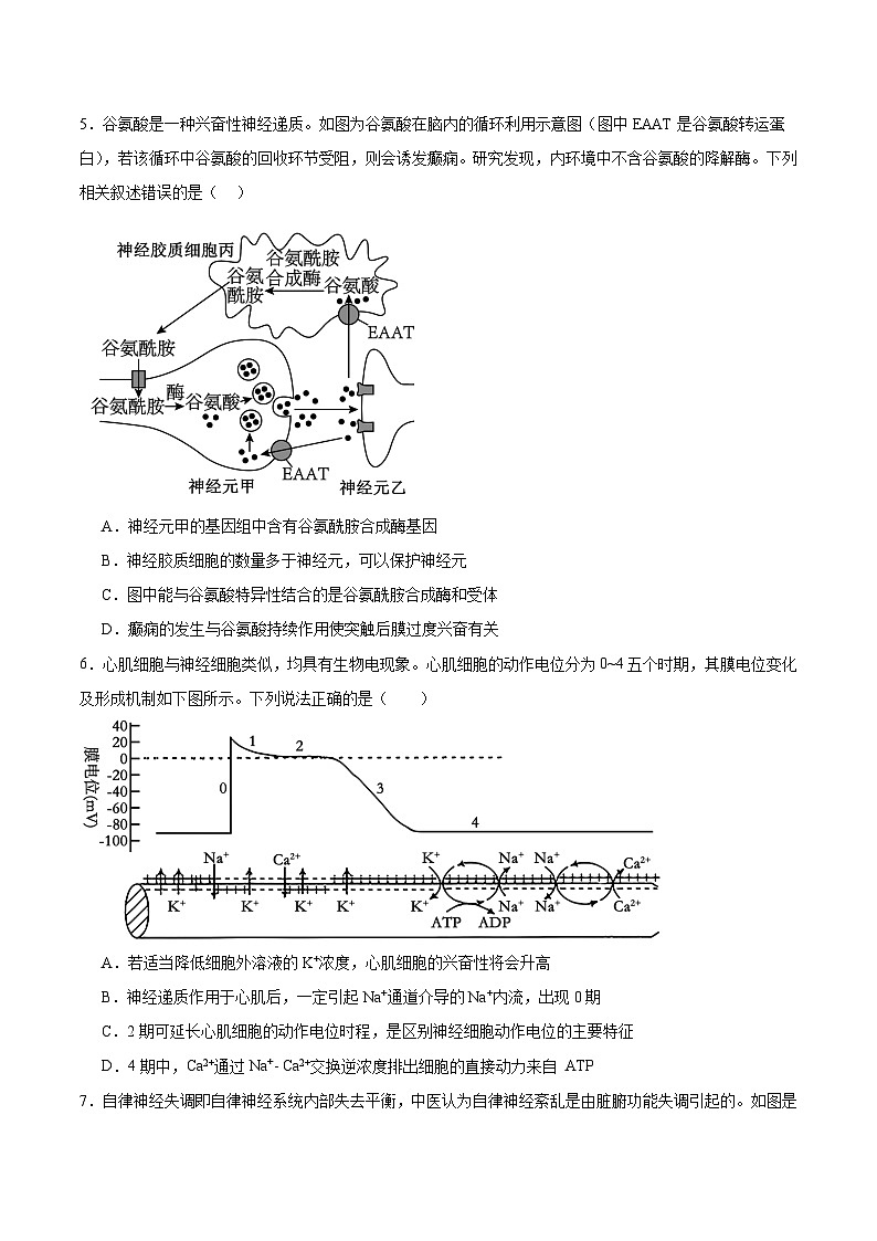 单元检测卷08 稳态与调节(原卷版)第2页