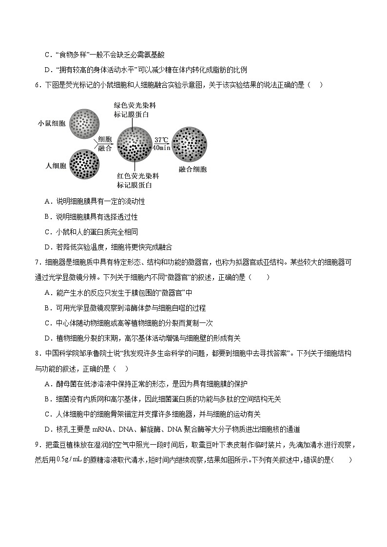 必修1 模板检测卷(原卷版)第2页