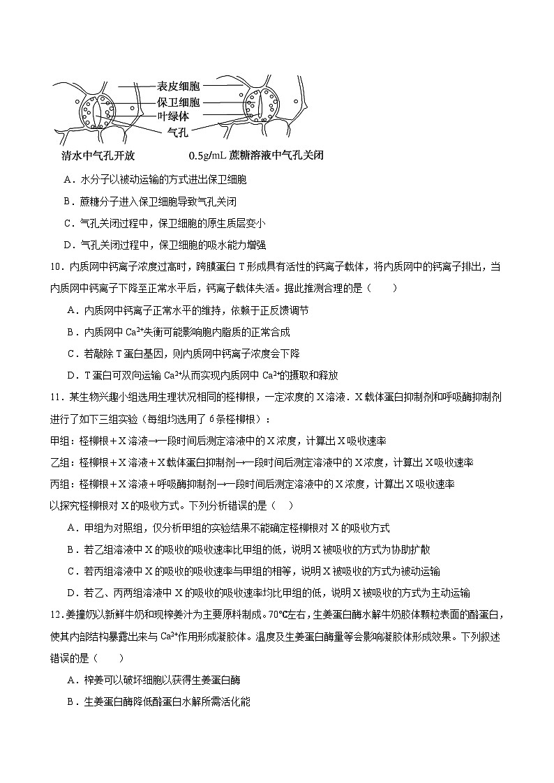 必修1 模板检测卷(原卷版)第3页