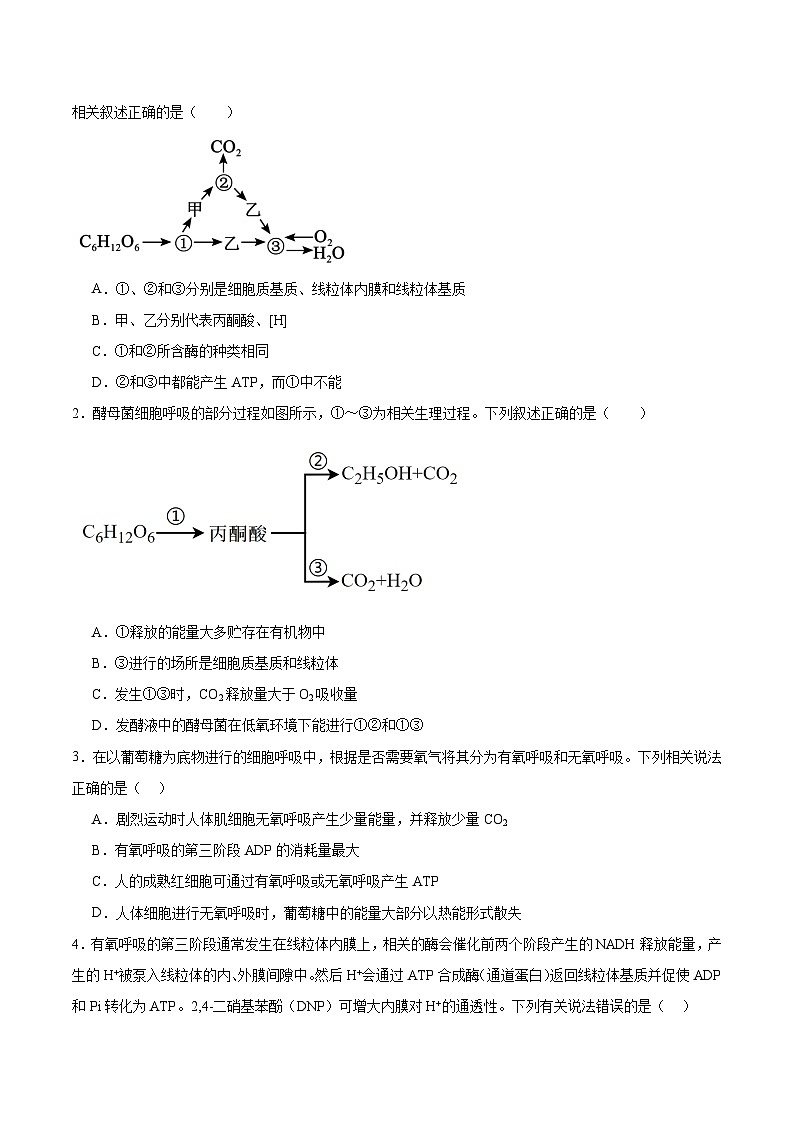 考点通关卷09 细胞呼吸(原卷版)第2页