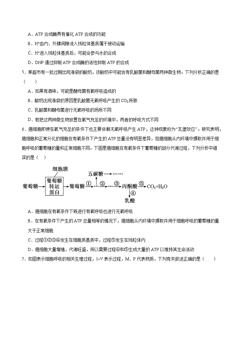 考点通关卷09 细胞呼吸(原卷版)第3页