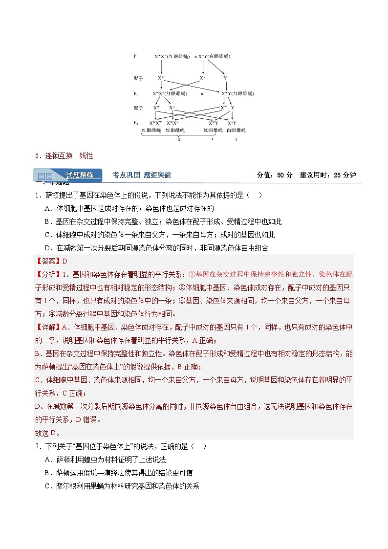 考点通关卷17 伴性遗传和人类遗传病(解析版)第2页