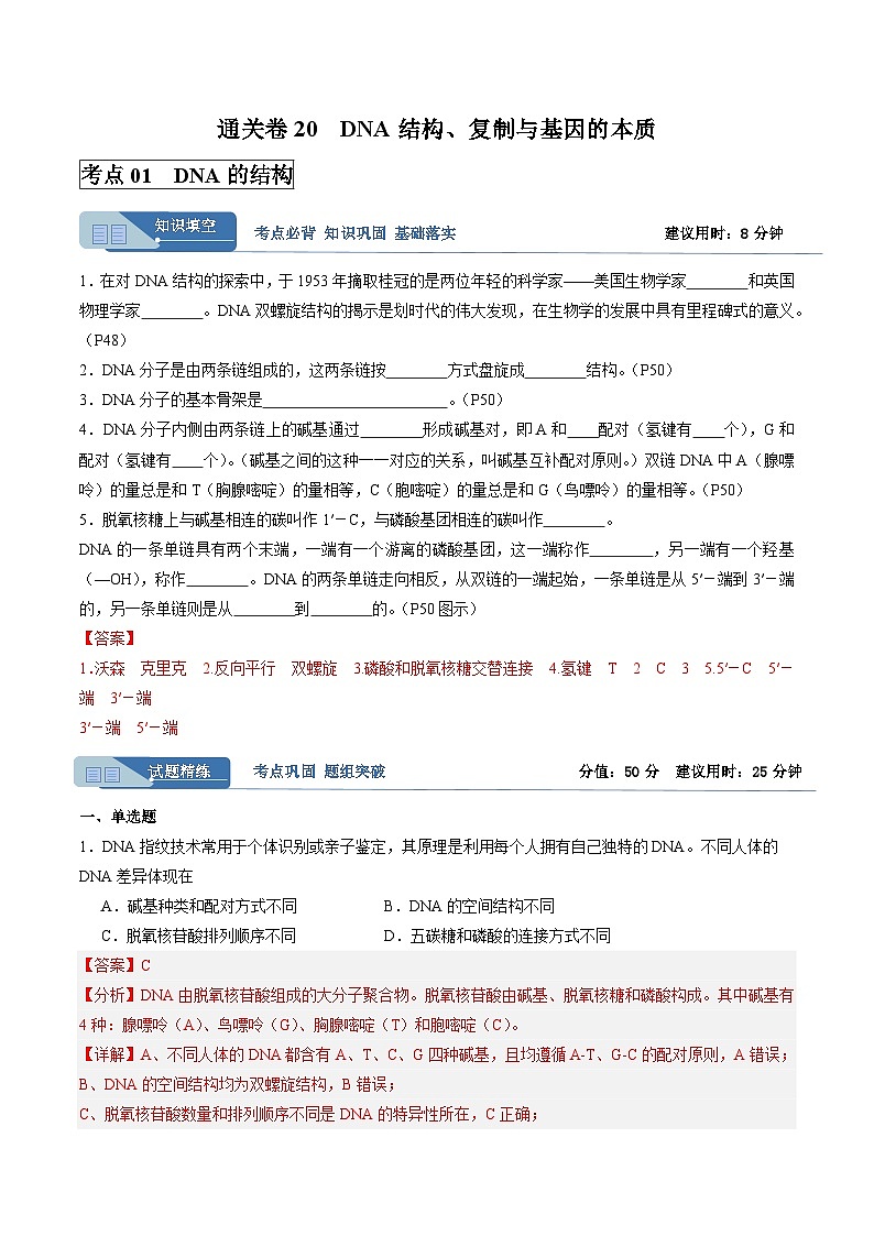 考点通关卷20 DNA结构、复制与基因的本质(解析版)第1页