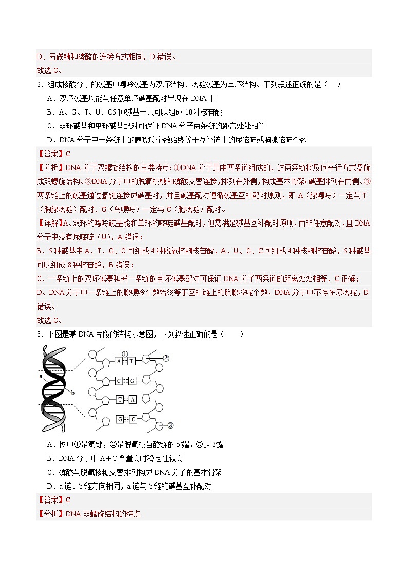 考点通关卷20 DNA结构、复制与基因的本质(解析版)第2页