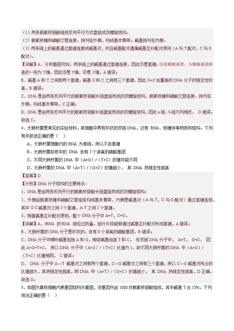 考点通关卷20 DNA结构、复制与基因的本质(解析版)第3页