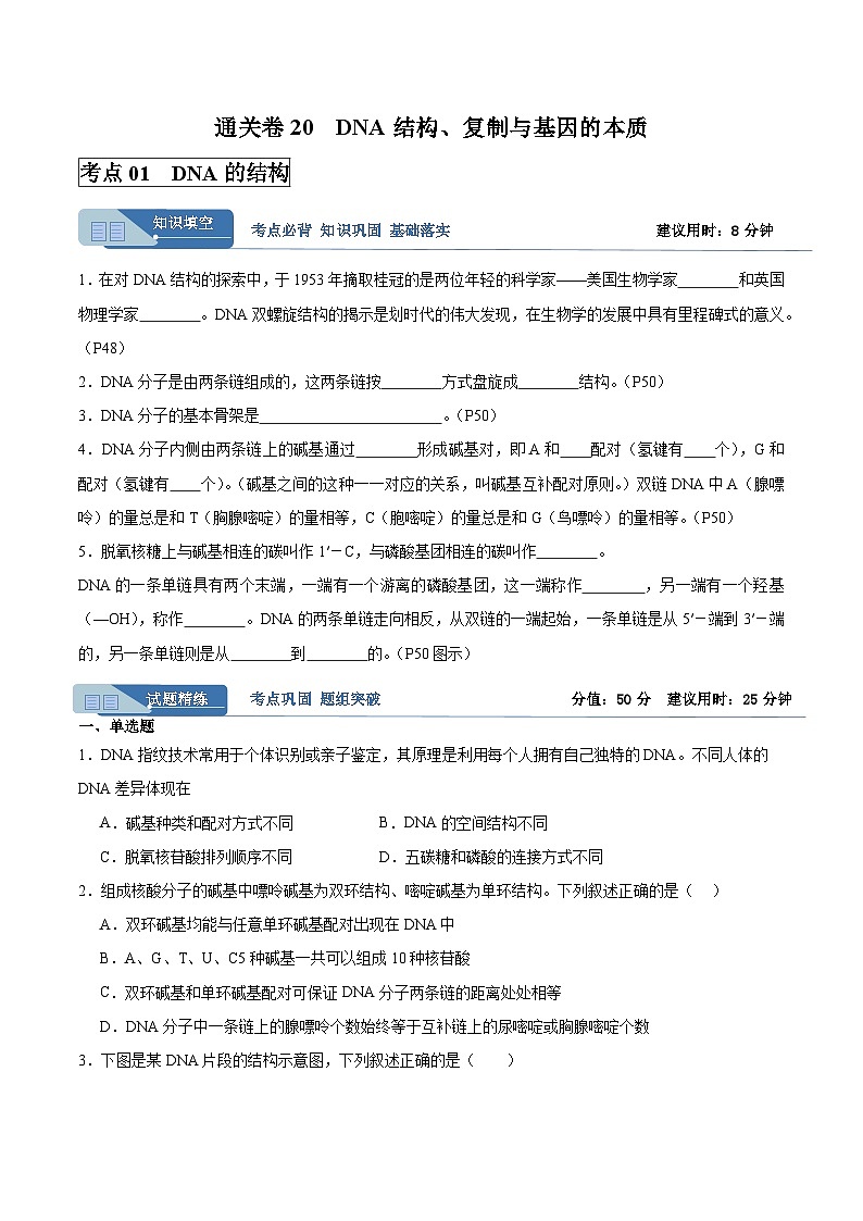 考点通关卷20 DNA结构、复制与基因的本质(原卷版)第1页