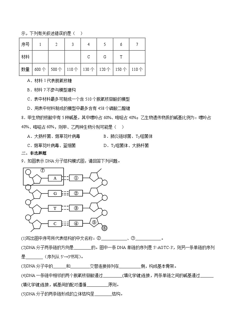 考点通关卷20 DNA结构、复制与基因的本质(原卷版)第3页