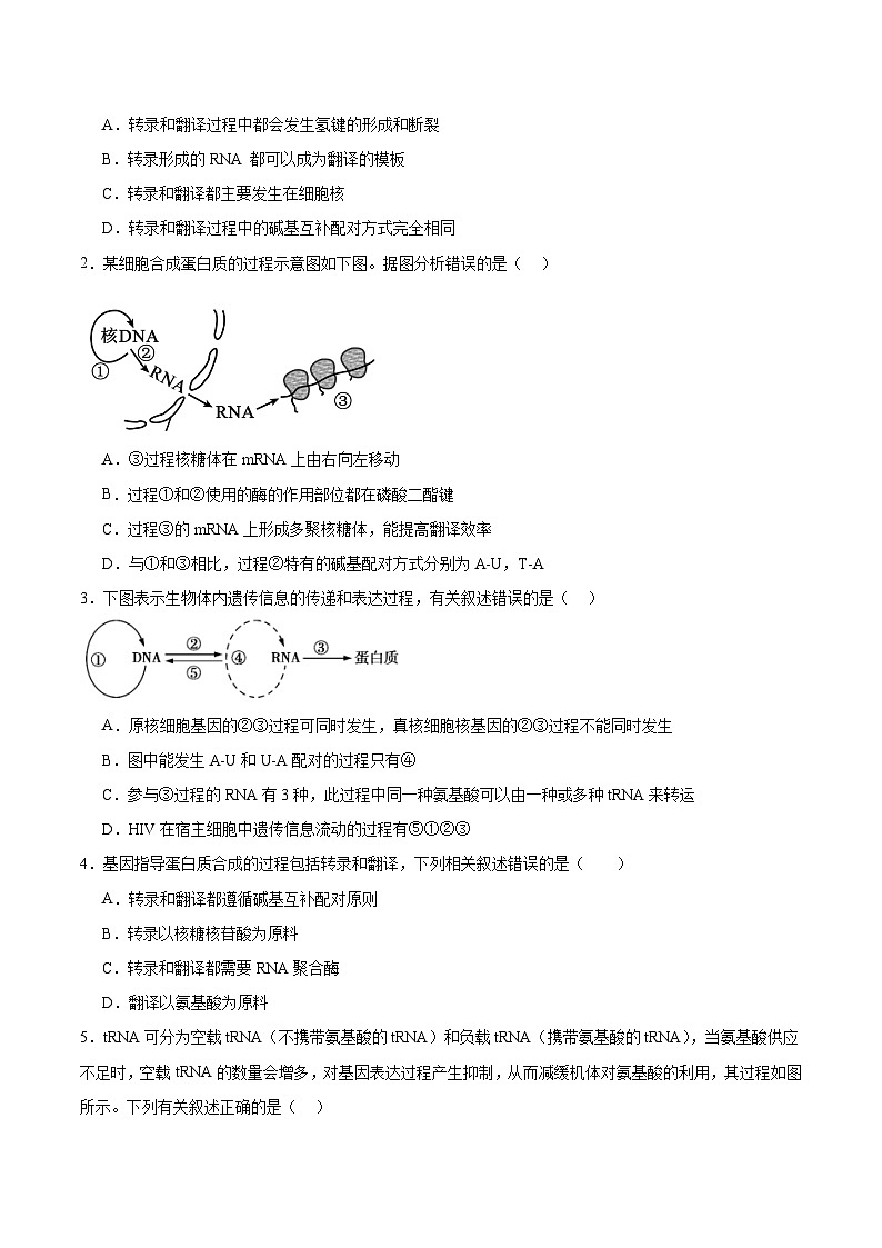 考点通关卷21 基因的表达、基因与性状的关系(原卷版)第3页