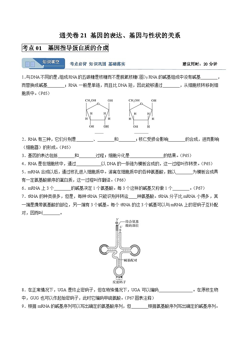 考点通关卷21 基因的表达、基因与性状的关系(解析版)第1页