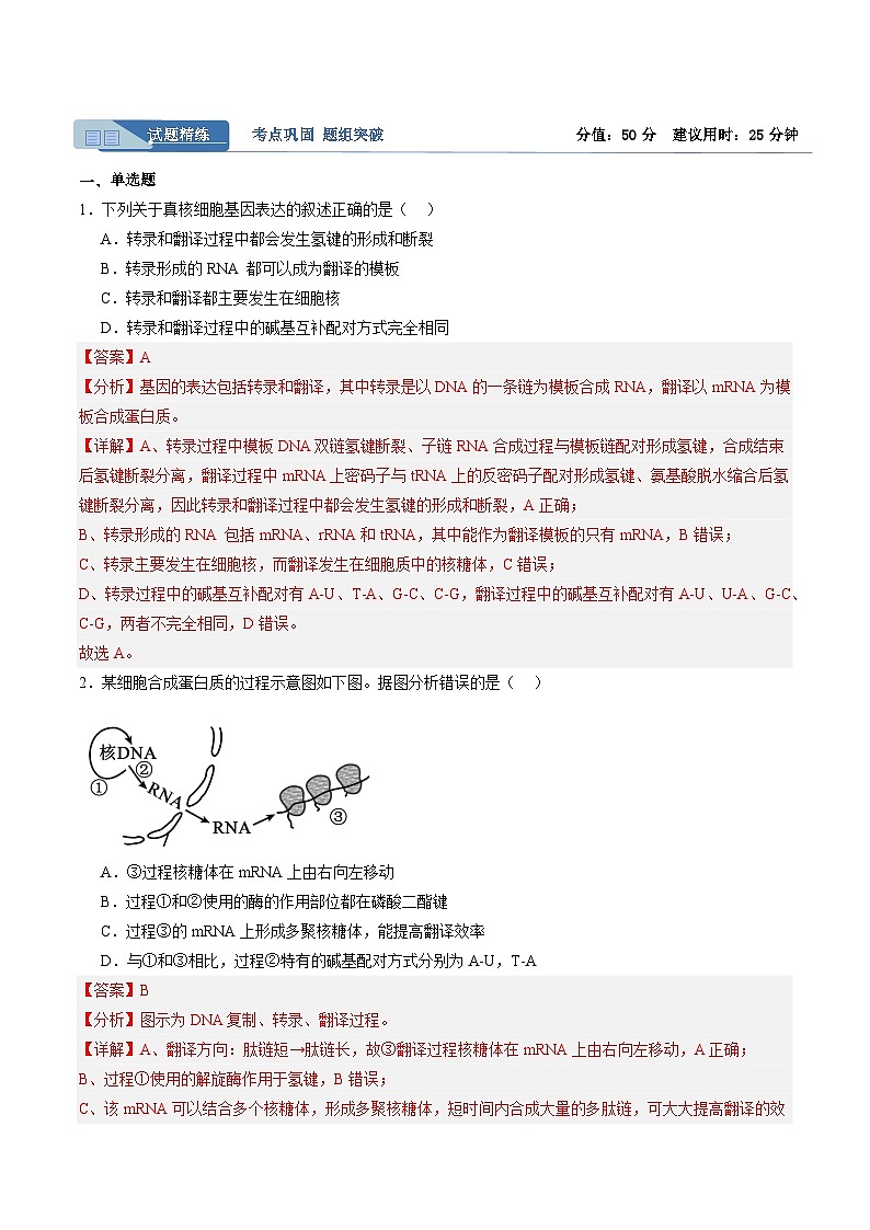考点通关卷21 基因的表达、基因与性状的关系(解析版)第3页