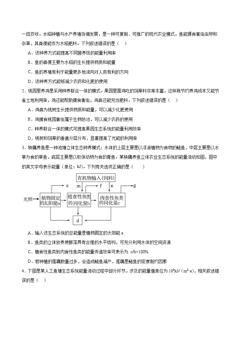 考点通关卷32  生态系统的功能(原卷版)第2页