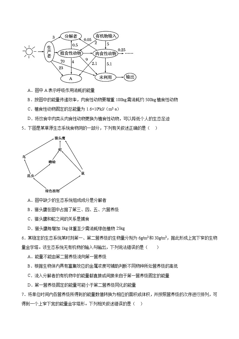 考点通关卷32  生态系统的功能(原卷版)第3页