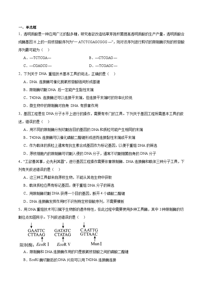 考点通关卷35  基因工程(原卷版)第2页
