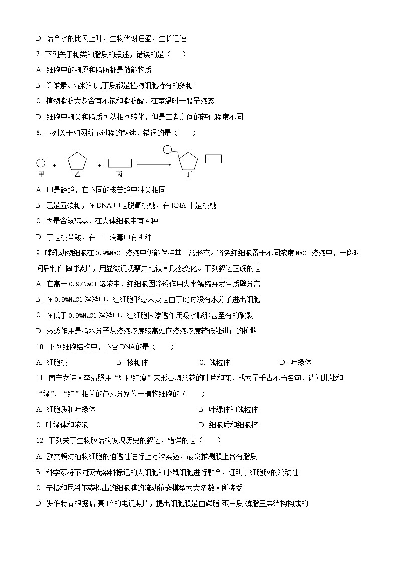重慶市萬州賽德中學校2024-2025學年高一上學期11月月考生物試題（原卷版）第2頁