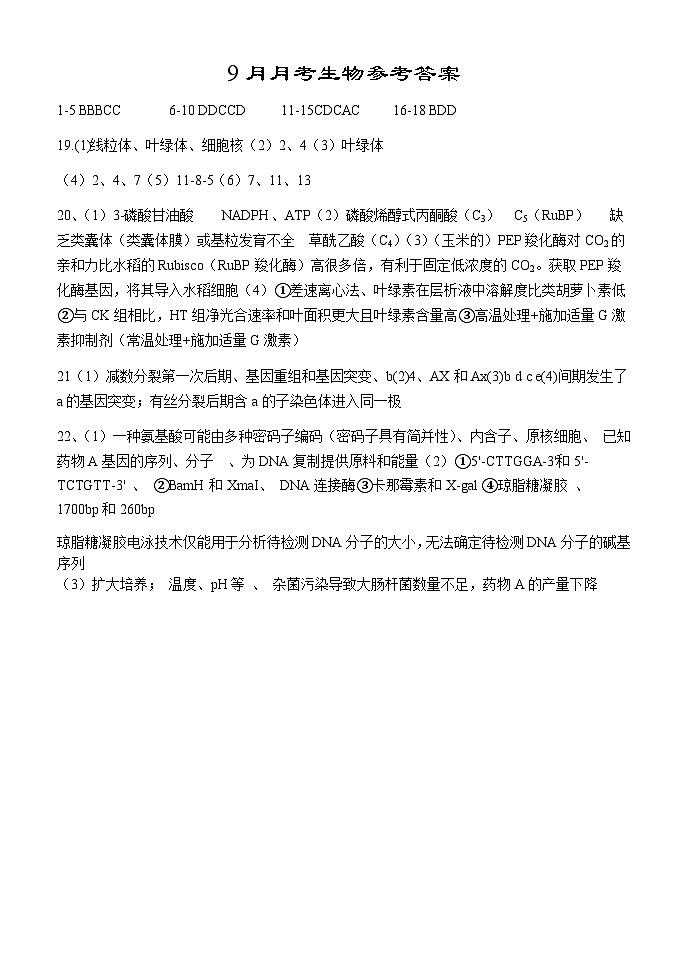 湖北省荆州市沙市区沙市中学2024-2025学年高三上学期9月月考生物试题01