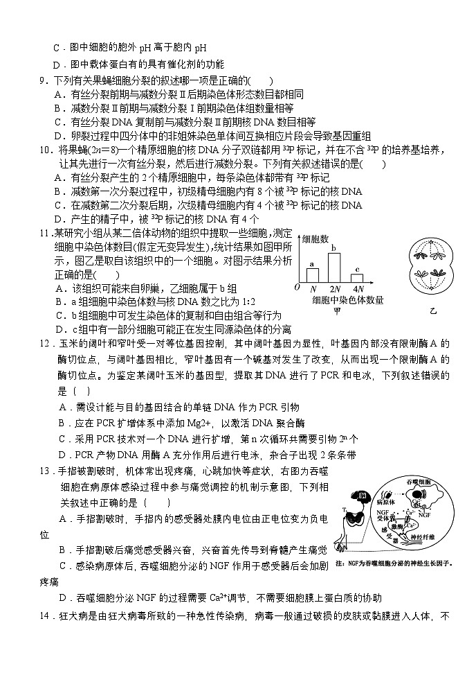 湖北省荆州市沙市区沙市中学2024-2025学年高三上学期9月月考生物试题03