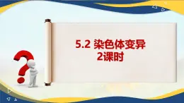 5.2 染色体变异-2024-2025学年高一生物同步备课课件（人教版2019必修2）