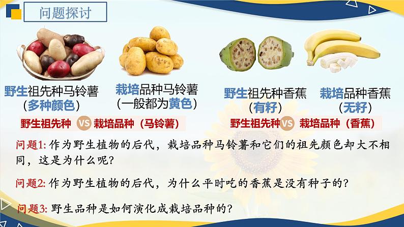 5.2 染色体变异-2024-2025学年高一生物同步备课课件(人教版2019必修2)第2页