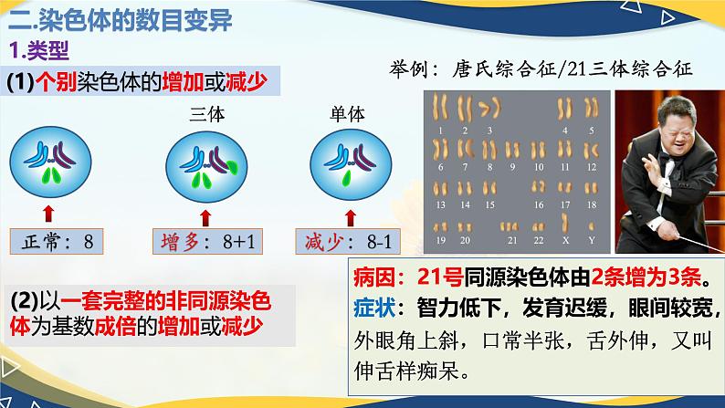 5.2 染色体变异-2024-2025学年高一生物同步备课课件(人教版2019必修2)第5页