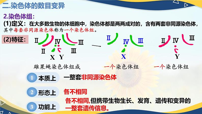 5.2 染色体变异-2024-2025学年高一生物同步备课课件(人教版2019必修2)第6页