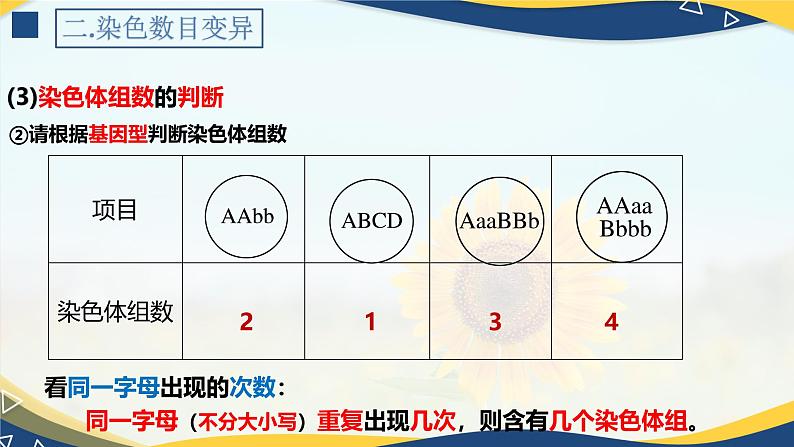 5.2 染色体变异-2024-2025学年高一生物同步备课课件(人教版2019必修2)第8页