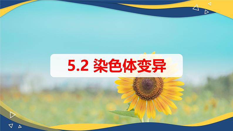 5.2 染色体变异-2024-2025学年高一生物同步课件(人教版2019必修2) (2)第1页