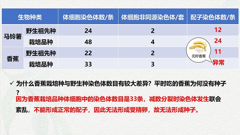5.2 染色体变异-2024-2025学年高一生物同步课件(人教版2019必修2) (2)第3页