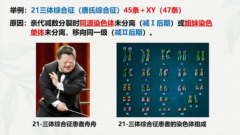 5.2 染色体变异-2024-2025学年高一生物同步课件(人教版2019必修2) (2)第6页