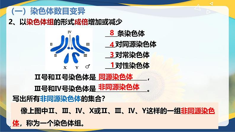 5.2 染色体变异-2024-2025学年高一生物同步课件(人教版2019必修2) (2)第7页