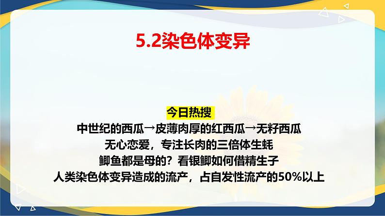 5.2 染色体变异-2024-2025学年高一生物同步课件(人教版2019必修2)第1页