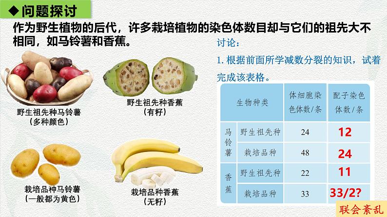 5.2 染色体变异-2024-2025学年高一生物同步课件(人教版2019必修2)第2页