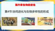 高中生物人教版 (2019)必修2《遗传与进化》第4节 协同进化与生物多样性的形成精品课件ppt