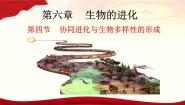 人教版 (2019)必修2《遗传与进化》第4节 协同进化与生物多样性的形成精品课件ppt