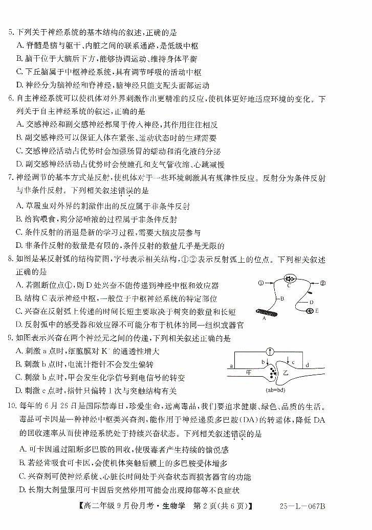 河北省沧州市2024-2025学年高二上学期9月月考生物试题第2页