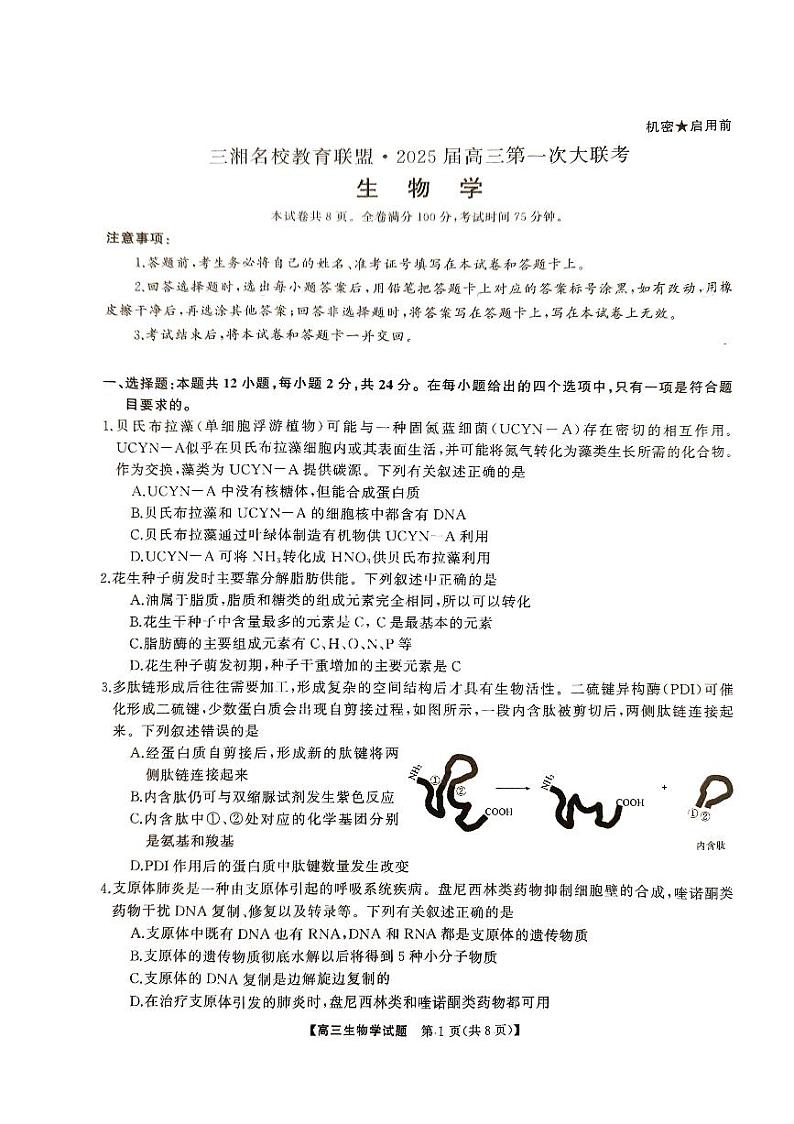 湖南省娄底市涟源市部分学校2024-2025学年高一上学期9月月考生物试题01