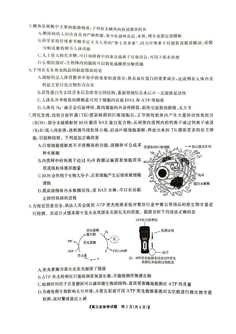 湖南省娄底市涟源市部分学校2024-2025学年高一上学期9月月考生物试题02