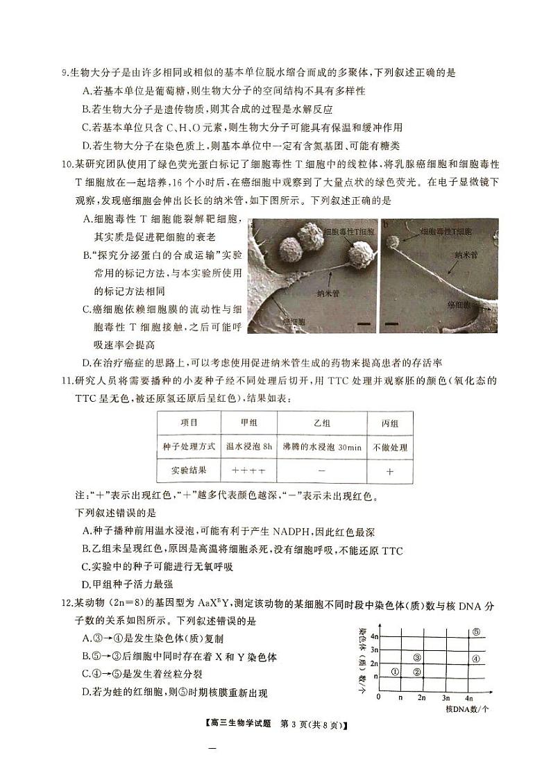 湖南省娄底市涟源市部分学校2024-2025学年高一上学期9月月考生物试题03
